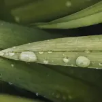 Hvordan kan jeg læse og fortolke målingerne på min regnmåler?